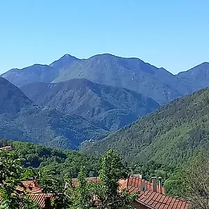 L'ibrus Blue Belvédère
