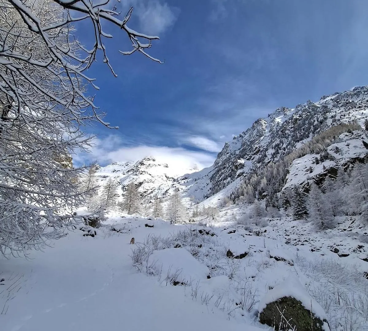 Meuble De Tourisme 2 Etoiles Au Coeur De Belvedere France
